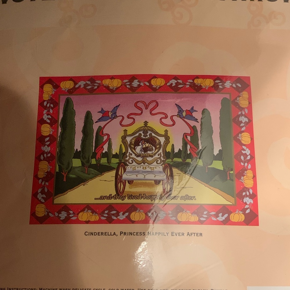 Disneys Woven TapestryThrow